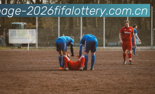 FIFA 体彩数据授权认证